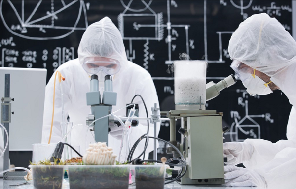 某化學工程項目定制款電蒸汽發生器使用案例！