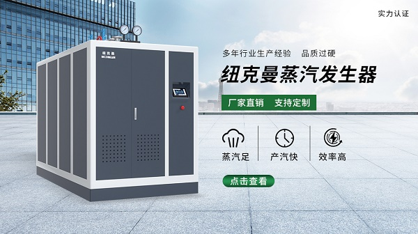 蒸汽發(fā)生器 蒸汽發(fā)生器